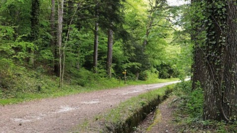 Randonnée Sur les traces des Huguenots Forêt de Saoû