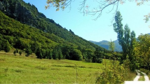Randonnée Les Anciennes Fermes Forêt de Saoû