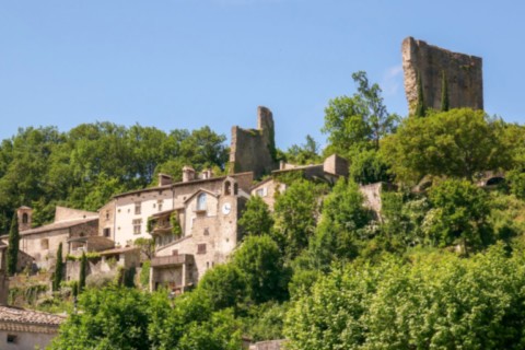 Village de Bourdeaux vue sue les châteaux