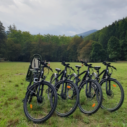 Loueurs de vélo Drôme