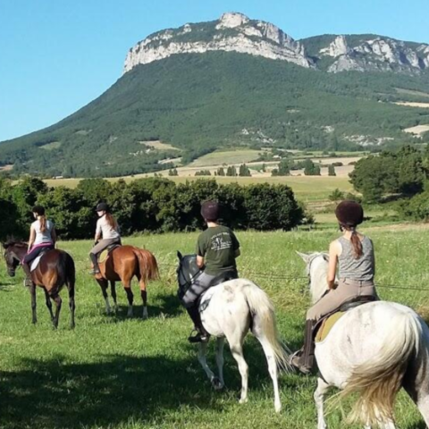 Les crinières de Rochecolombe équitation Soyans Drôme