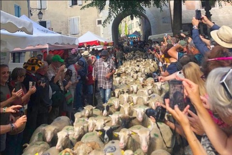 Fête de la transhumance Fête de la transhumance Châtillon-en-Diois