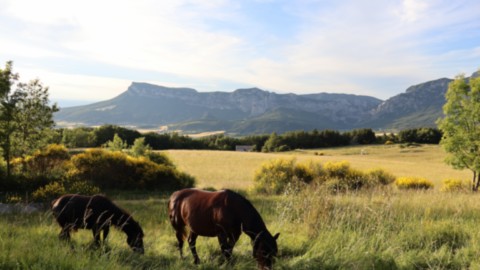 Randonnée depuis la Ferme Bio Le Panicaut