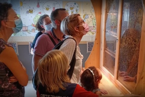 Délices au miel Roussas Drôme