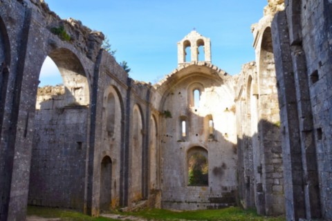 Randonnée la forêt d'Aleyrac
