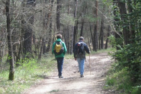 Randonnée Le Poët-Laval