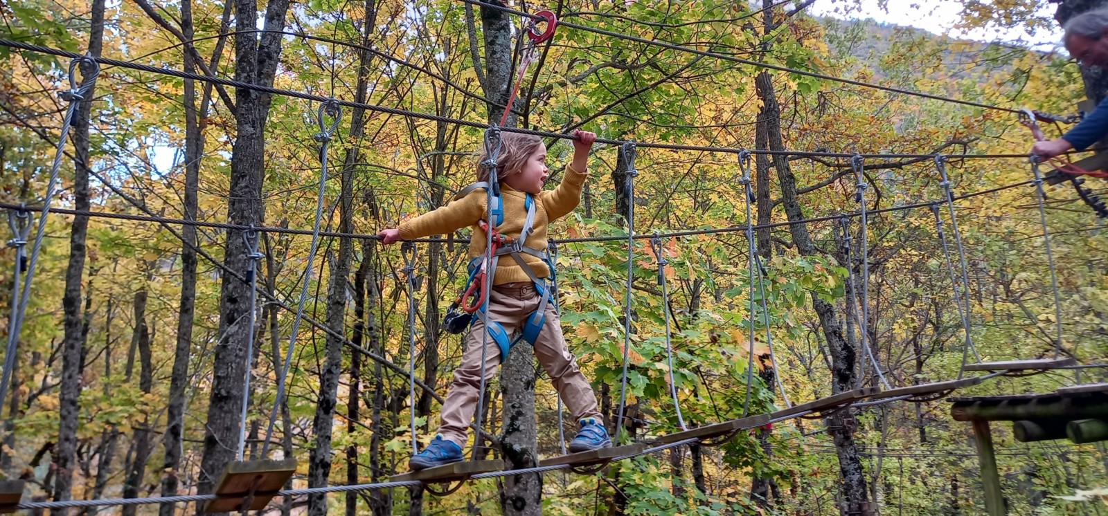 Activité en famille Drôme Accrobranche